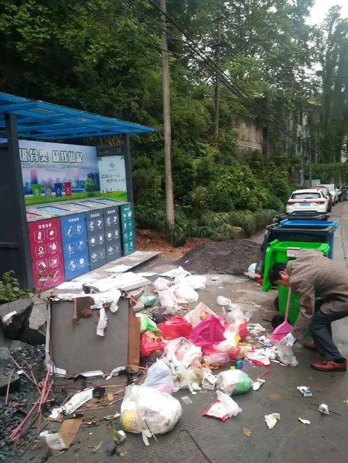 桐廬城區(qū)生活小區(qū)垃圾分類現(xiàn)狀與城市生活垃圾經(jīng)營服務(wù)探析